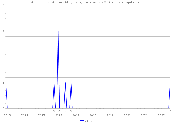 GABRIEL BERGAS GARAU (Spain) Page visits 2024 