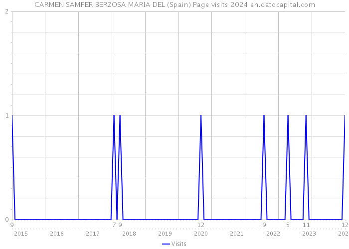 CARMEN SAMPER BERZOSA MARIA DEL (Spain) Page visits 2024 