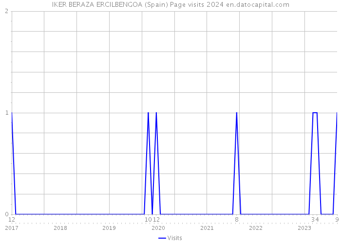 IKER BERAZA ERCILBENGOA (Spain) Page visits 2024 