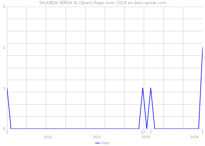 SAULEDA VERDA SL (Spain) Page visits 2024 