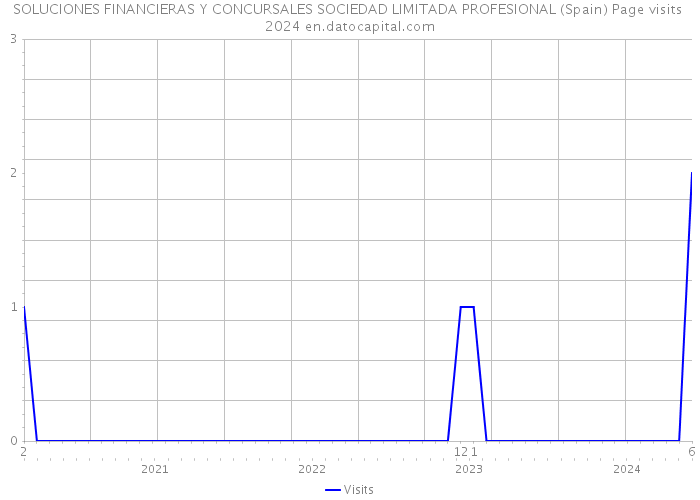 SOLUCIONES FINANCIERAS Y CONCURSALES SOCIEDAD LIMITADA PROFESIONAL (Spain) Page visits 2024 
