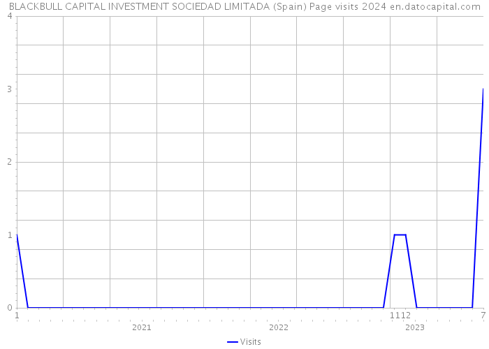 BLACKBULL CAPITAL INVESTMENT SOCIEDAD LIMITADA (Spain) Page visits 2024 