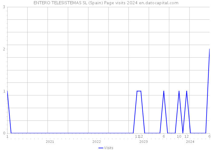 ENTERO TELESISTEMAS SL (Spain) Page visits 2024 