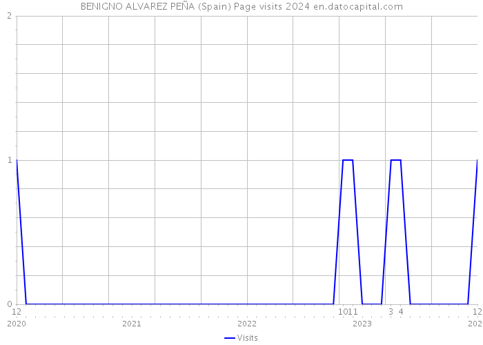 BENIGNO ALVAREZ PEÑA (Spain) Page visits 2024 
