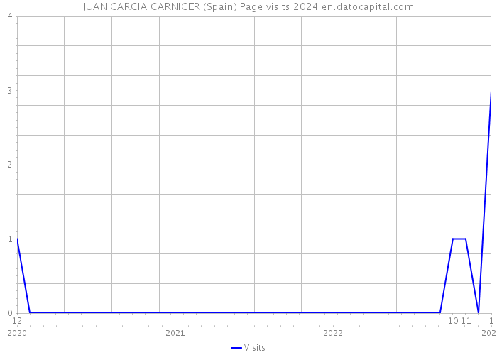 JUAN GARCIA CARNICER (Spain) Page visits 2024 