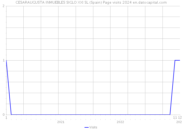 CESARAUGUSTA INMUEBLES SIGLO XXI SL (Spain) Page visits 2024 