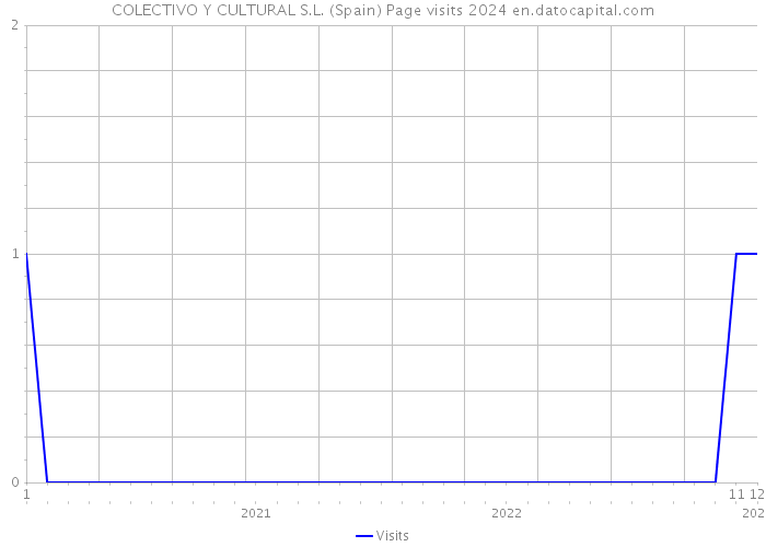 COLECTIVO Y CULTURAL S.L. (Spain) Page visits 2024 