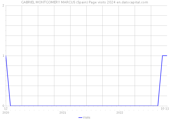 GABRIEL MONTGOMERY MARCUS (Spain) Page visits 2024 