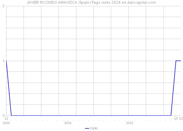 JAVIER RICONDO AMAVIZCA (Spain) Page visits 2024 
