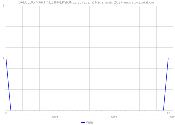 SALCEDO MARTINEZ INVERSIONES SL (Spain) Page visits 2024 