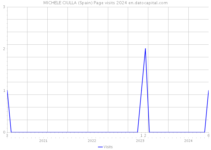 MICHELE CIULLA (Spain) Page visits 2024 