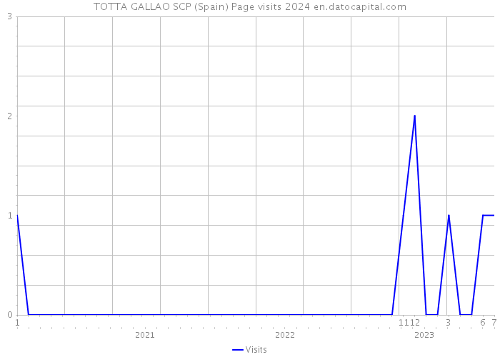 TOTTA GALLAO SCP (Spain) Page visits 2024 