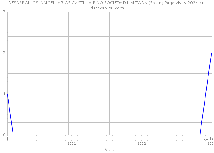 DESARROLLOS INMOBILIARIOS CASTILLA PINO SOCIEDAD LIMITADA (Spain) Page visits 2024 