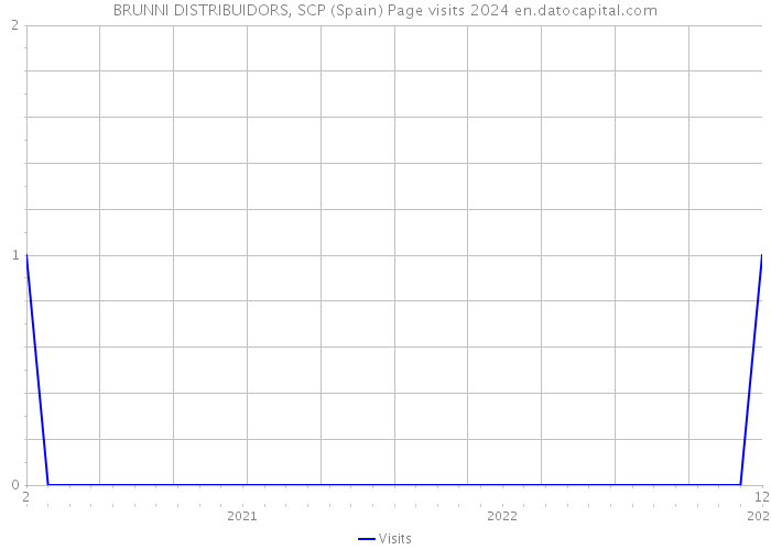 BRUNNI DISTRIBUIDORS, SCP (Spain) Page visits 2024 