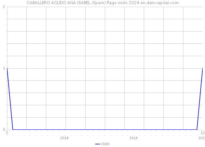 CABALLERO AGUDO ANA ISABEL (Spain) Page visits 2024 