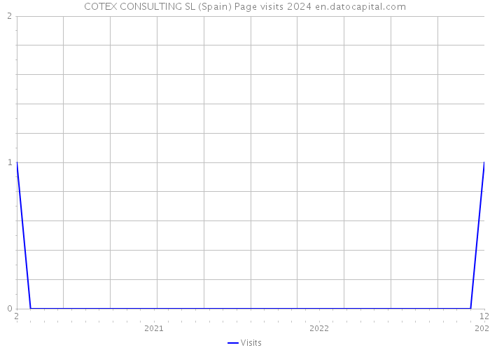 COTEX CONSULTING SL (Spain) Page visits 2024 