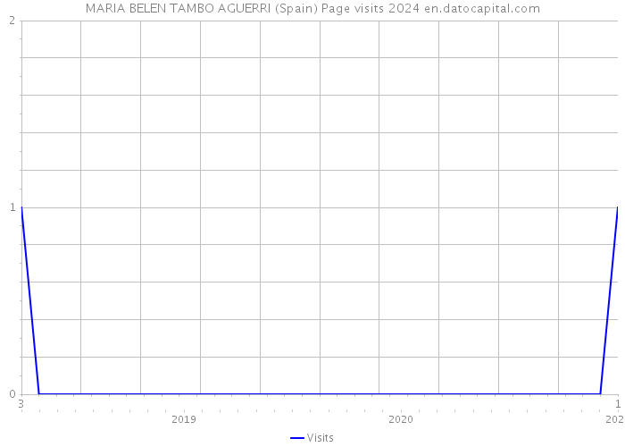 MARIA BELEN TAMBO AGUERRI (Spain) Page visits 2024 