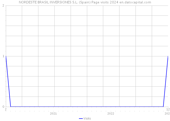 NORDESTE BRASIL INVERSIONES S.L. (Spain) Page visits 2024 
