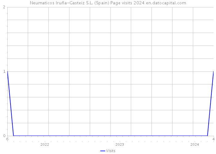 Neumaticos Iruña-Gasteiz S.L. (Spain) Page visits 2024 