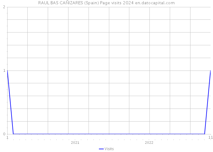 RAUL BAS CAÑIZARES (Spain) Page visits 2024 
