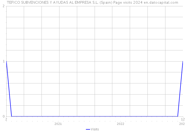 TEFICO SUBVENCIONES Y AYUDAS AL EMPRESA S.L. (Spain) Page visits 2024 