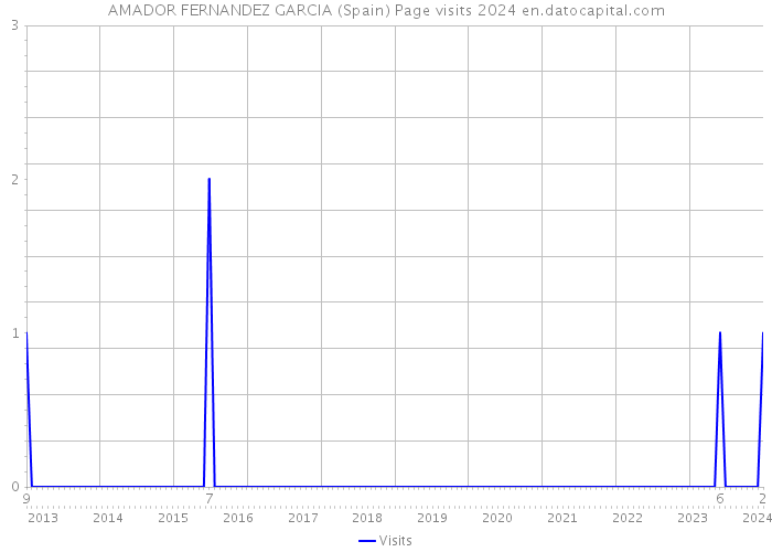 AMADOR FERNANDEZ GARCIA (Spain) Page visits 2024 
