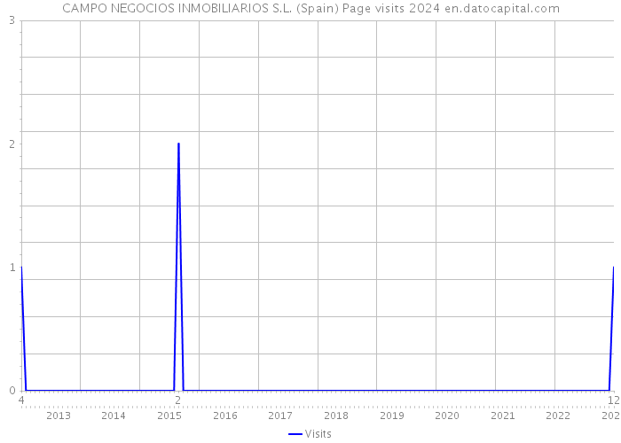 CAMPO NEGOCIOS INMOBILIARIOS S.L. (Spain) Page visits 2024 