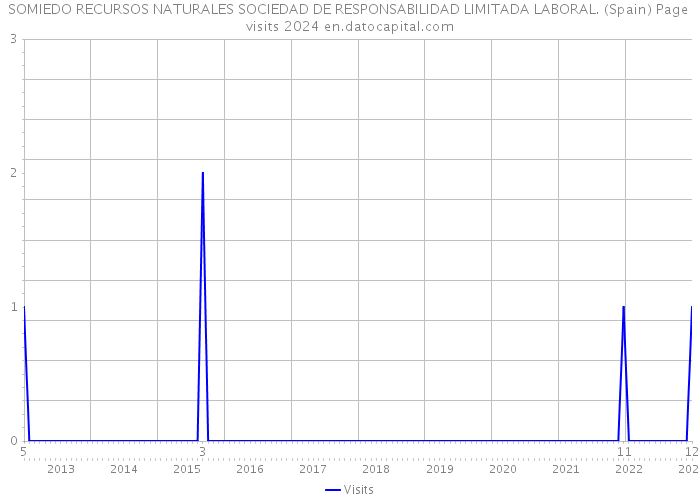 SOMIEDO RECURSOS NATURALES SOCIEDAD DE RESPONSABILIDAD LIMITADA LABORAL. (Spain) Page visits 2024 