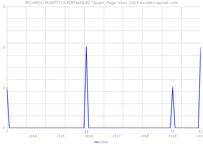 RICARDO MONTOYA FERNANDEZ (Spain) Page visits 2024 