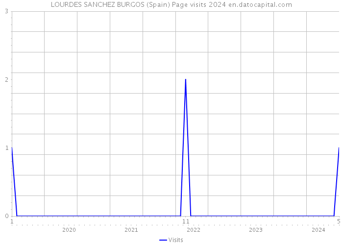 LOURDES SANCHEZ BURGOS (Spain) Page visits 2024 
