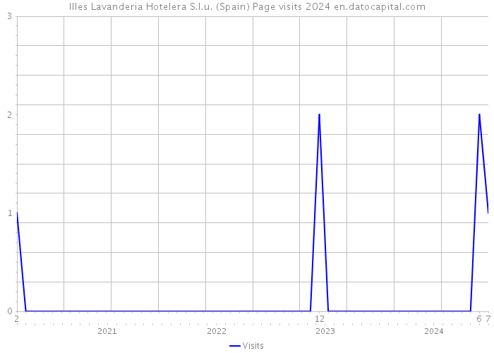 Illes Lavanderia Hotelera S.l.u. (Spain) Page visits 2024 