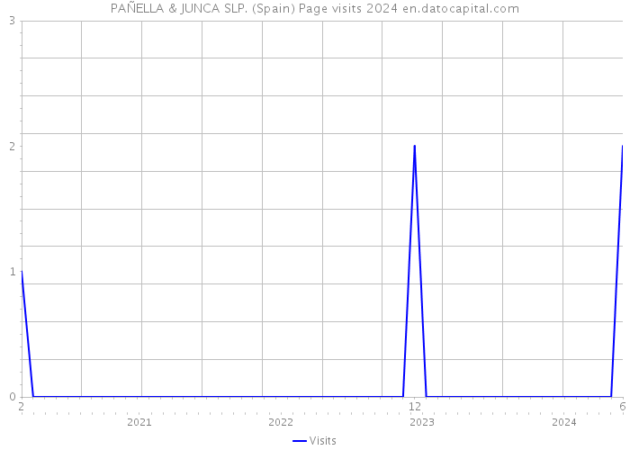 PAÑELLA & JUNCA SLP. (Spain) Page visits 2024 