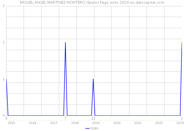 MIGUEL ANGEL MARTINEZ MONTERO (Spain) Page visits 2024 