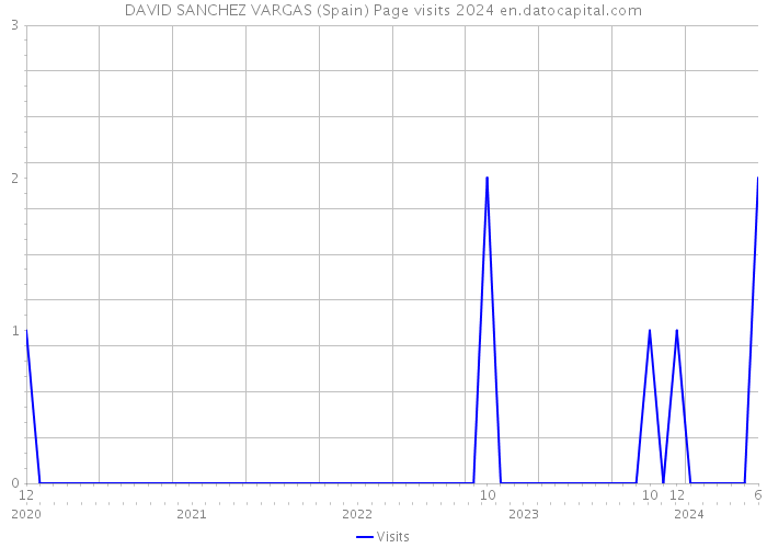 DAVID SANCHEZ VARGAS (Spain) Page visits 2024 