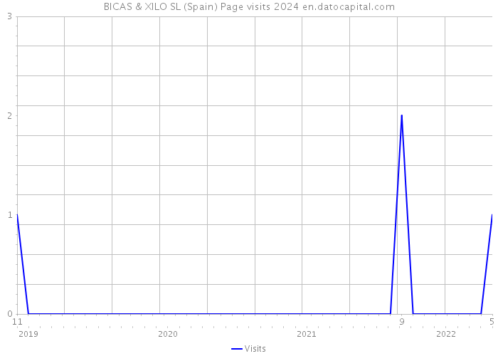 BICAS & XILO SL (Spain) Page visits 2024 