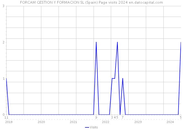 FORCAM GESTION Y FORMACION SL (Spain) Page visits 2024 