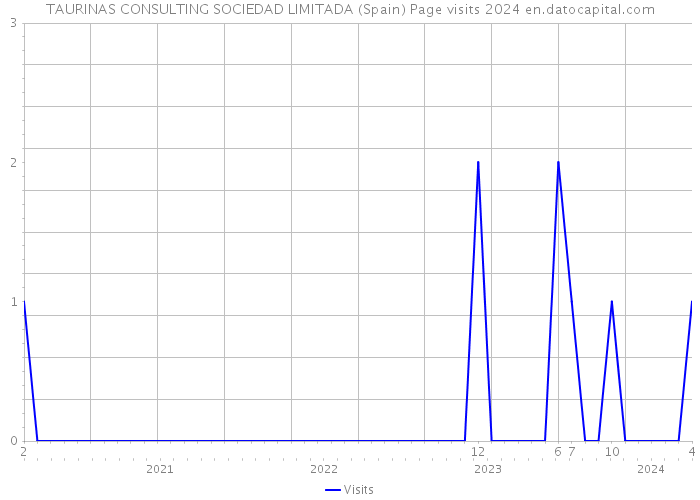 TAURINAS CONSULTING SOCIEDAD LIMITADA (Spain) Page visits 2024 