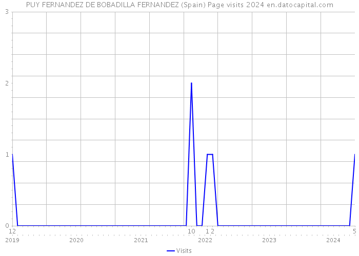 PUY FERNANDEZ DE BOBADILLA FERNANDEZ (Spain) Page visits 2024 
