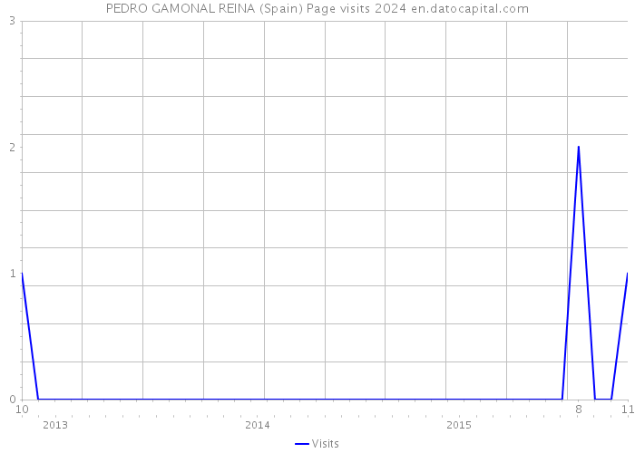 PEDRO GAMONAL REINA (Spain) Page visits 2024 
