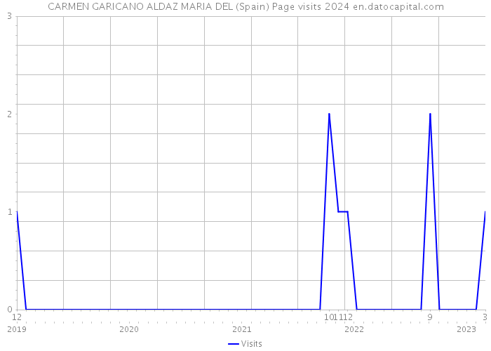 CARMEN GARICANO ALDAZ MARIA DEL (Spain) Page visits 2024 