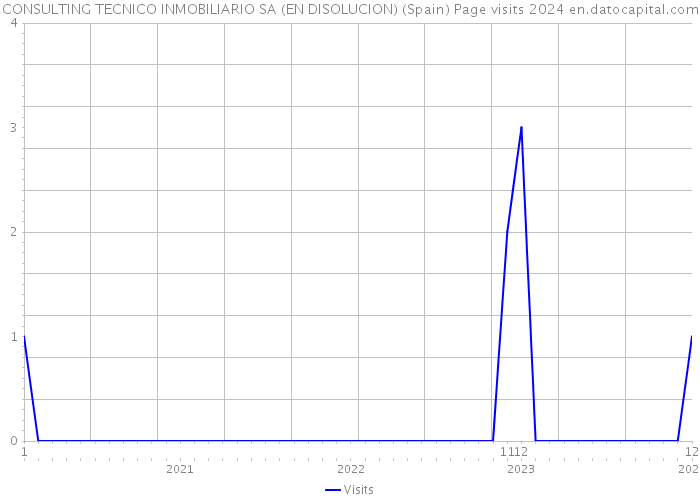 CONSULTING TECNICO INMOBILIARIO SA (EN DISOLUCION) (Spain) Page visits 2024 