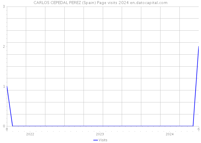 CARLOS CEPEDAL PEREZ (Spain) Page visits 2024 