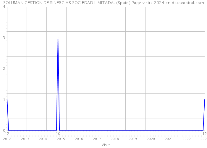 SOLUMAN GESTION DE SINERGIAS SOCIEDAD LIMITADA. (Spain) Page visits 2024 
