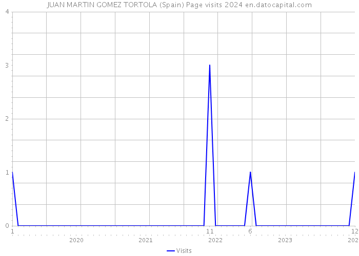 JUAN MARTIN GOMEZ TORTOLA (Spain) Page visits 2024 