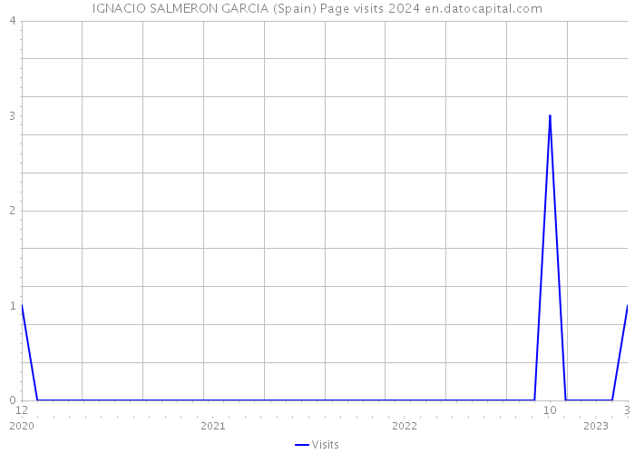 IGNACIO SALMERON GARCIA (Spain) Page visits 2024 