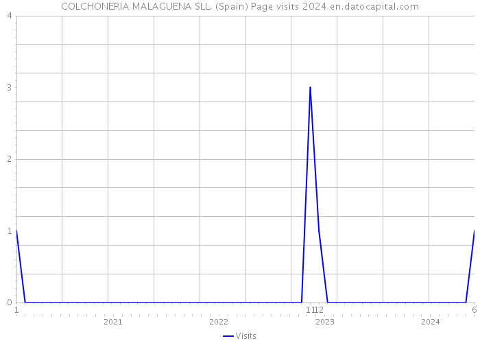 COLCHONERIA MALAGUENA SLL. (Spain) Page visits 2024 