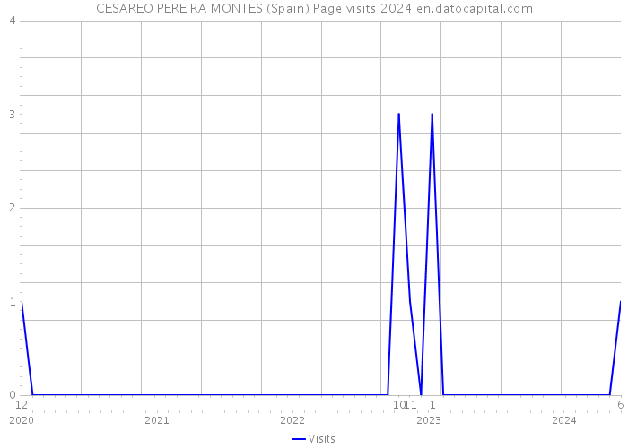 CESAREO PEREIRA MONTES (Spain) Page visits 2024 