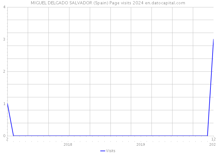 MIGUEL DELGADO SALVADOR (Spain) Page visits 2024 