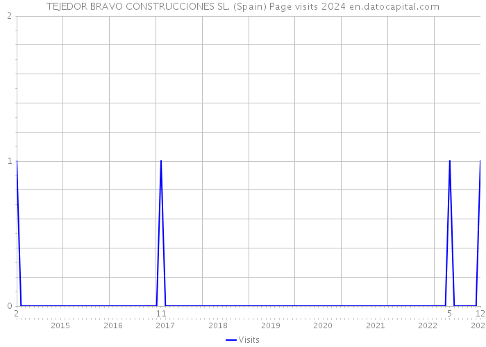 TEJEDOR BRAVO CONSTRUCCIONES SL. (Spain) Page visits 2024 