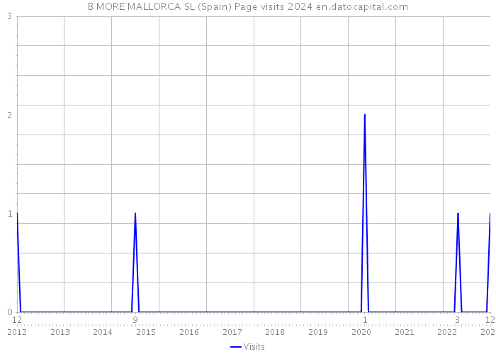 B MORE MALLORCA SL (Spain) Page visits 2024 